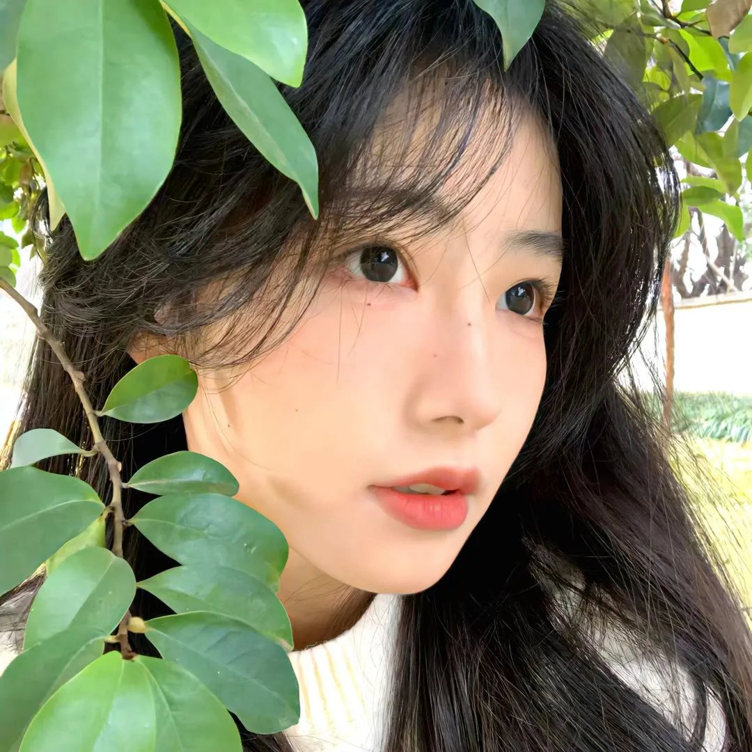 新闻女王
